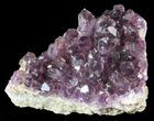 Purple Amethyst Cluster - Turkey #55378-1